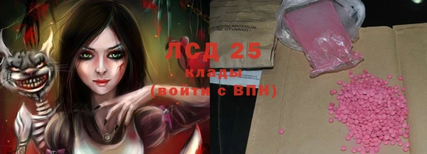 сатива Надым
