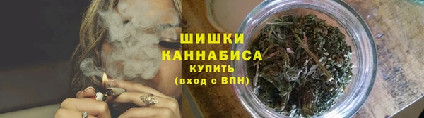 сатива Надым