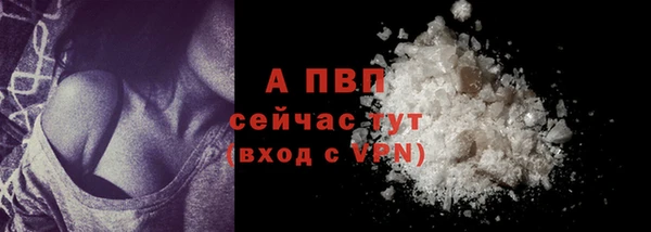 сатива Надым