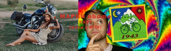сатива Надым