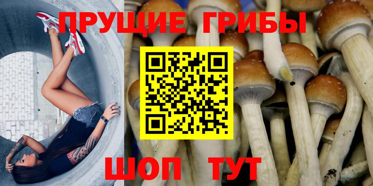 Галлюциногенные грибы GOLDEN TEACHER  Псилоцибиновые грибы Cubensis  Ессентуки  Вход с VPN 